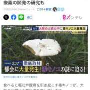 ヒメ日記 2026/07/12 10:04 投稿 すみれ 奥様の実話 梅田店