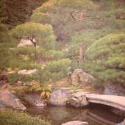ヒメ日記 2026/09/06 15:18 投稿 すみれ 奥様の実話 梅田店