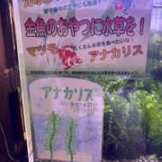 ヒメ日記 2026/10/17 08:30 投稿 すみれ 奥様の実話 梅田店