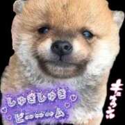 ヒメ日記 2026/06/20 01:08 投稿 あぽろ 熟女の風俗最終章 沼津店