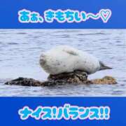 ヒメ日記 2026/09/07 08:38 投稿 あぽろ 熟女の風俗最終章 沼津店