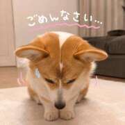 ヒメ日記 2026/08/14 12:37 投稿 つきみ 若葉