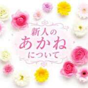 ヒメ日記 2026/06/04 08:44 投稿 あかね i-doll（あいどーる）