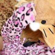 ましゅ 予約嬉しい!!🥺🥺 Beppin house
