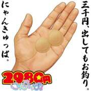 ヒメ日記 2026/08/25 20:16 投稿 むむ 2980円（にゃんきゅっぱ）