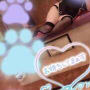 ヒメ日記 2026/10/12 11:14 投稿 あずみ 人妻カーラ伝説  THE  J-MILF  CLUB  YOKOHAMA