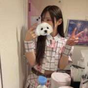 ヒメ日記 2026/08/14 17:52 投稿 ゆき アオハル学園