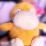 ヒメ日記 2026/10/03 10:39 投稿 てん 茨城日立ちゃんこ