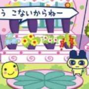 ヒメ日記 2026/06/09 09:14 投稿 ヒジリ MEGA PALACE(メガパレス）