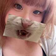 ヒメ日記 2026/06/30 01:24 投稿 あいす ふわふわコレクション