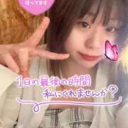 ヒメ日記 2026/10/08 22:44 投稿 あいす ふわふわコレクション