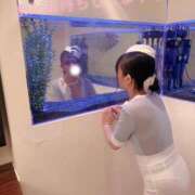 ヒメ日記 2026/05/28 12:12 投稿 ねいろ ダイスキ