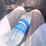 ヒメ日記 2026/06/01 10:09 投稿 ねいろ ダイスキ