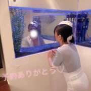 ヒメ日記 2026/06/28 15:32 投稿 ねいろ ダイスキ