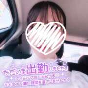 ヒメ日記 2026/07/09 14:47 投稿 ねいろ ダイスキ