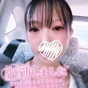 ヒメ日記 2026/07/10 09:38 投稿 ねいろ ダイスキ