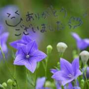 ヒメ日記 2026/08/08 07:43 投稿 咲宮(さきみや) 人妻出逢い会 百合の園 山の手本店