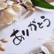ヒメ日記 2026/06/04 17:38 投稿 さつき⭐︎ ご奉仕に悩殺必至 石庭