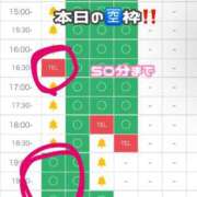 ヒメ日記 2026/06/07 07:03 投稿 あいす 若葉