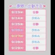 ヒメ日記 2026/09/23 09:22 投稿 ひさな 横浜ハッピーマットパラダイス
