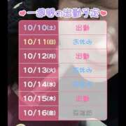 ヒメ日記 2026/10/10 10:33 投稿 ひさな 横浜ハッピーマットパラダイス