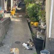ヒメ日記 2026/05/28 14:25 投稿 Ｆuran(ふらん) AMATERAS(アマテラス)(福山)