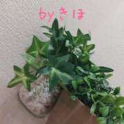 ヒメ日記 2026/07/27 15:14 投稿 きほ セレブクエスト-Nishikawa-