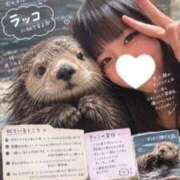 ヒメ日記 2026/10/03 00:52 投稿 紫吹らん ウルトラハピネス