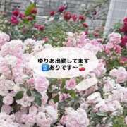 ヒメ日記 2026/07/10 15:34 投稿 ゆりあ ごほうびSPA神戸店