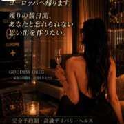 ヒメ日記 2026/07/12 10:43 投稿 ミランダ【凛】 恵比寿コレクション　久留米本店