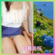 白鳥美桜 白鳥、本日のご予約のお客様に TOKYO五十路マダムin池袋（カサブランカグループ）