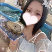 ヒメ日記 2026/08/06 09:20 投稿 くじら ピンクコレクションBabyキタ兎我野店