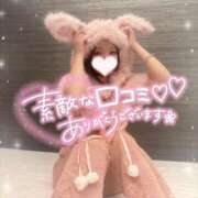 ヒメ日記 2026/09/04 13:50 投稿 くじら ピンクコレクションBabyキタ兎我野店