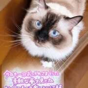 ヒメ日記 2026/07/18 11:55 投稿 みお サマンサ 堺店