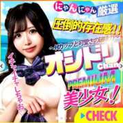 ヒメ日記 2026/05/30 10:36 投稿 オシドリ※SSS級美少女 きらめけ！にゃんにゃん学園in大宮