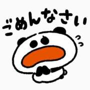 アオイ 9/21 おやすみいただきます バニーコレクション千葉栄町店