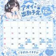ヒメ日記 2026/10/18 09:02 投稿 アオイ バニーコレクション千葉栄町店