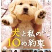 ヒメ日記 2026/09/11 12:05 投稿 あさひ 渋谷蘭の会