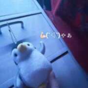 りんね 大注目の経験極浅美女 🙇🏻‍♀️🌷 L＆Jブラザーズ