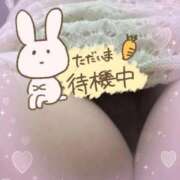 ヒメ日記 2026/07/08 14:14 投稿 しの 山口下関ちゃんこ