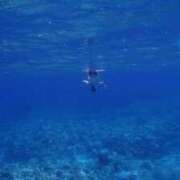 たかね 夏の予定🌺🤍 OKINI立川