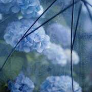 百瀬 なつめ 雨音を聞きながら..☔️ 横浜貴楼館