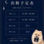 ヒメ日記 2026/07/03 14:02 投稿 あおい ぷにぷにプリンセス