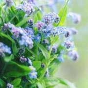 ヒメ日記 2026/06/01 22:10 投稿 花海 沙羽 CASA BIANCA（カーサ・ビアンカ）
