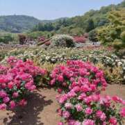 ヒメ日記 2026/05/30 14:56 投稿 うらら TSUBAKI（水戸）