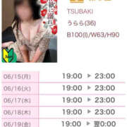 ヒメ日記 2026/06/15 00:23 投稿 うらら TSUBAKI（水戸）