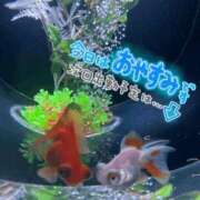ヒメ日記 2026/06/03 06:56 投稿 月夢(つむ) 人妻城 横浜本店