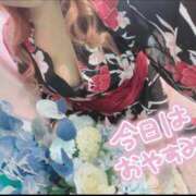 ヒメ日記 2026/07/30 11:37 投稿 月夢(つむ) 人妻城 横浜本店