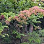 ヒメ日記 2026/08/04 10:20 投稿 ルイ 人妻生レンタルNTR