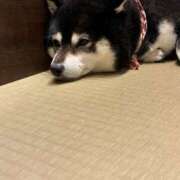 ヒメ日記 2026/07/05 19:25 投稿 みな 奥鉄オクテツ神奈川店（デリヘル市場グループ）